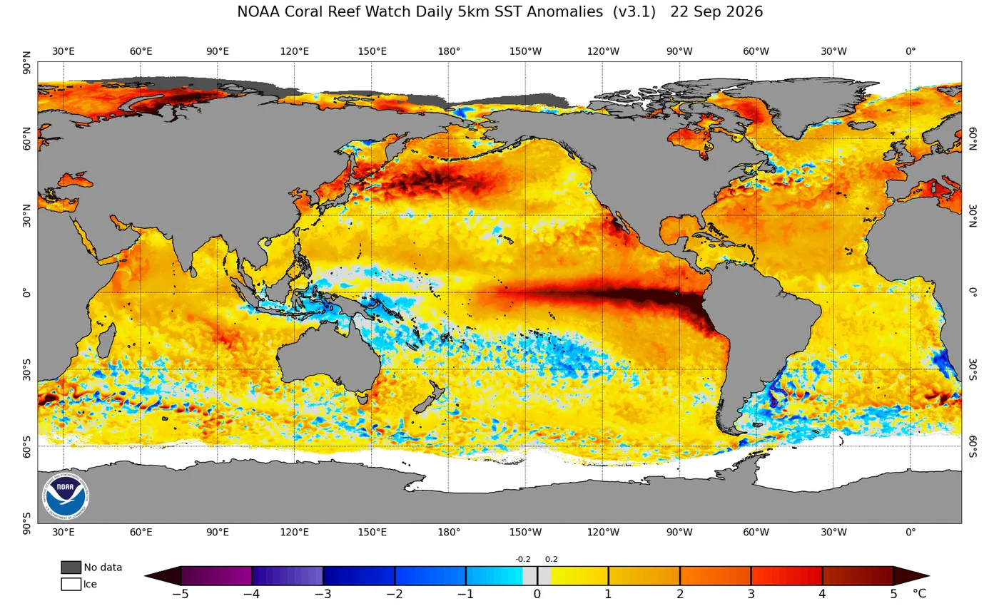 Carte mondiale des anomalies de température de surface de la mer au 22 septembre 2026 : une bande rouge sombre s’étire le long de l’équateur, du centre du Pacifique jusqu’aux côtes du Pérou et de l’Équateur, signature d’El Niño.