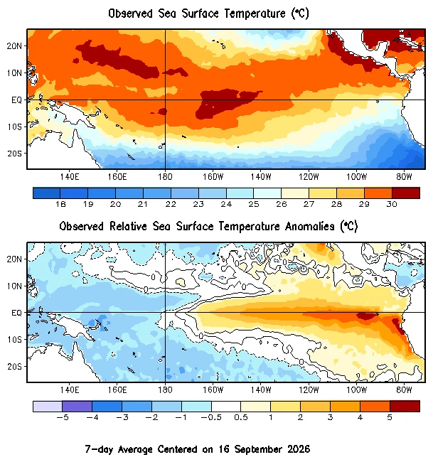Deux cartes du Pacifique tropical, moyenne sur sept jours centrée sur le 16 septembre 2026 : en haut la température de surface, en bas l’écart relatif à la normale, avec des eaux jusqu’à plus de 4 °C au-dessus de la normale près de l’Amérique du Sud.